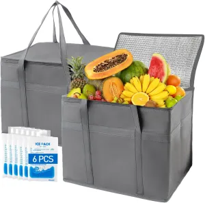 2-Pack Insulated Grocery Bags with 6×200ml Ice Packs -Reusable Food-Grade Cooler Tote, Foldable Ice Bag, Leakproof Design for Camping, Picnics & Food Delivery (XL Gray 16×13×9 Inch)
