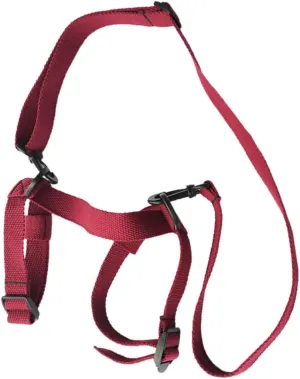 Elastic Blanket Binding Strap Durable Carrying Strap for Travel Lightweight Yoga Mat Sling for Outdoor Activities Convenient and Space Saving Design