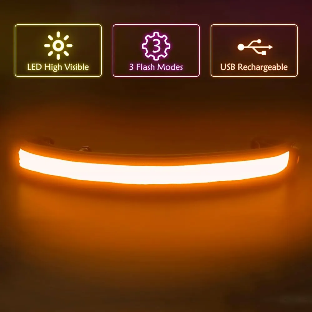 Illumifun LED Running Belt - USB Rechargeable Light Up Sash, High-Visibility Elastic Waistband Light for Running, Cycling, Hiking, Camping & Nighttime Activities