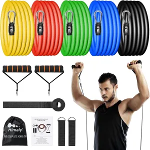 Resistance Bands Set, Workout Bands with Handles, Door Anchor, Ankle Straps and Carry Bag, Exercise Bands for Shape Body and Home Workouts