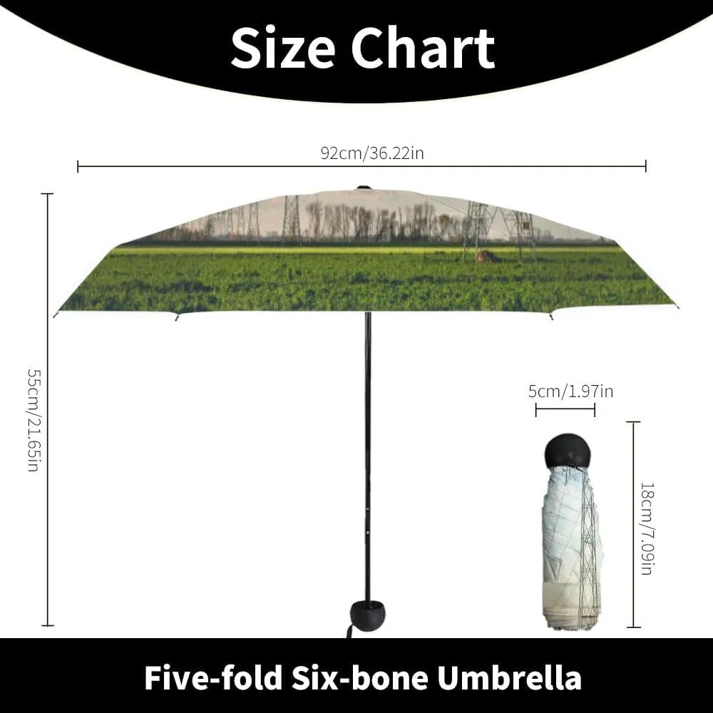 Travel Umbrella for Rain Windproof Sky Cloud Sky Cloudscape Sunset Overcast Automatic Cute Portable Compact Umbrella for Women Purse Backpack Car Black Sun UV Protection